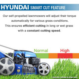 What is rear wheel drive