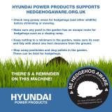 Hedgehog awareness